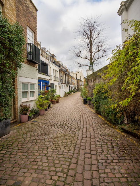 A narrow cobblestone street in a residential area with multi-story terraced houses on the left side, featuring a mix of brick and painted facades, some with small balconies and black metal railings. Potted plants and shrubs line the base of the buildings, adding greenery to the scene. On the right side, there is a high stone wall covered with dense, green ivy and foliage. A large, leafless tree stands prominently in the background, its branches extending skyward against a cloudy, overcast sky. The street appears quiet and clean, with several small black and green waste bins placed along the sidewalk, reflecting potential local or private waste collection methods. The scene exudes a typical urban residential character, with natural light and soft shadows, encapsulating an environment where independent rubbish removal or on-site clearance may be necessary, as suggested by the visible waste receptacles and tidy yet slightly cluttered appearance of the alleyway.