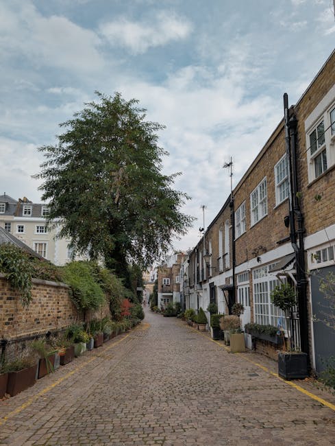 A narrow cobblestone street lined with terraced houses characterized by brick facades, white-framed sash windows, and black drainpipes along the right side. The buildings are two to three stories tall, with some featuring small front gardens or potted plants positioned on the pavement in front of the entrances. On the left, a low brick wall supports a variety of potted plants and shrubs, with a large leafy tree extending over the street, providing partial shade and greenery. The sky above is partly cloudy with patches of blue, contributing to a softly lit, daytime atmosphere. The street appears to be residential, typical of smaller London-style terraces, and the surroundings suggest a quiet, historic neighbourhood. This scene illustrates typical private or alternative waste handling possibilities, such as onsite clearance that houses like these might require, potentially serviced by independent rubbish removal companies like House Clearances South Kensington.