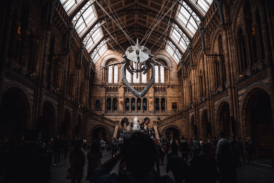 An interior view of a museum gallery with a high, arched glass ceiling allowing natural light to illuminate the space. The room features classical sculptures made of white marble, displayed on raised pedestals, including a group of figures and individual statues, some with detailed drapery and anatomical features. The sculptures vary in size and are arranged across the tiled floor, with a larger, dark-colored carved stone basin or decorative object in the foreground positioned centrally. The walls are decorated with circular plaques or reliefs, and a black ornate balcony with intricate railings extends along one side. In the background, an elaborate dark wood or metal architectural structure frames an arched doorway, leading to another section of the museum. The clean and well-maintained environment reflects a typical setting for cultural and historical exhibitions, with no visible rubbish or waste present, consistent with professional museum care and maintenance, as would be handled by services such as houseclearancesouthkensington.co.uk specializing in interior space waste management and collection.